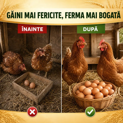 Tratament 100% natural pentru păduchii de găina